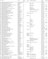 Image result for Oreophyton falcatum