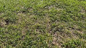 Image result for site:byggahus.se Algomin