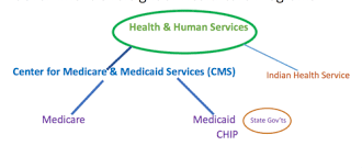 American Health Care Test 1 Flashcards Quizlet