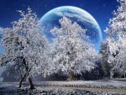 Maybe you would like to learn more about one of these? Wallpapers Winter Moon In Natural Free Flowers Rose Trees 1600x1200 Winterlandschaft Landschafts Tapete Winterbilder