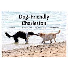 Dog-friendly Charleston Dog Friends Dog Friendly Hotels Dog Friendly Beach