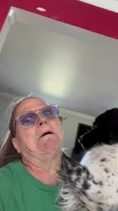 I guess Coca’s love language is play biting 😳 and why is one of my kitchen  drawers open??💜#teacher #teachers #teachersoftiktok #retiringsoon  #teacherlife #teach #fyp #newfoundlanddog ...