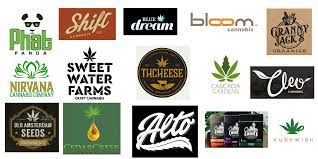 We did not find results for: Spadybud Amber Design Seattle Graphic Designer