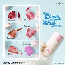Odbo Cloudy Lasting Blush บลัช แก้ม 3g.