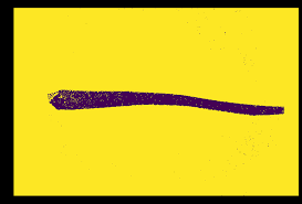 Create or set up the simple blob detector.; Blob Detector Not Working When It Should On Obvious Blobs Makes No Sense Opencv Q A Forum
