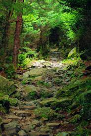 Great Smoky Mountains National Park Hiking Trail In North Carolina Best Hikes In The Smokies Http Www Roma With Images National Park Hiking Trails Hiking National Parks