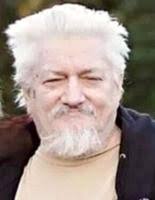 Quick-striking Wildcats down Panthers 38-0