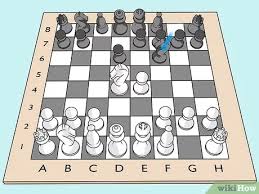 Rook on pawn or vertical pawn picker is a subclass of double wing attack floating rook openings in which the floating rook player moves his or her rook to the third file aiming to capture the. 3 Ways To Win Chess Openings Playing Black Wikihow