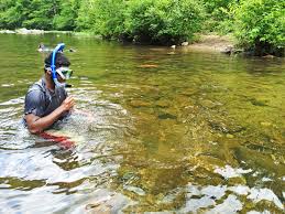 We did not find results for: Hidden Treasures Fishing And Swimming Spots Appalachian Voices