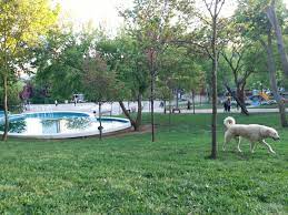 macka parki istanbul