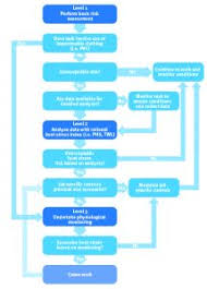 Heat Stress Monitoring Ohsa Occupational Health Services