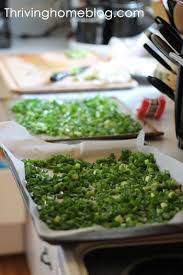 How To Freeze Green Onions Scallions The Easy Way Recipe Freeze Greens Green Onions Canning Recipes