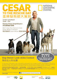 Cesar Milan Surunun Lideri Izle Turkce Altyazili Dublaj Belgesel Dizi Izle Belgeselx Com