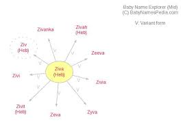 Ziva Meaning Of Ziva What Does Ziva Mean