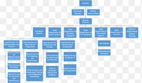 On the insert tab, in the illustrations group, click smartart. Organizational Chart University Of Bamenda Logistics Transport Company Text Png Pngegg