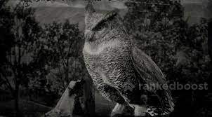Red Dead Redemption 2 Owl Locations Crafting Legendary Materials