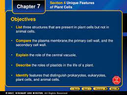 Bacteria, fungi and some protists also. Ppt Table Of Contents Powerpoint Presentation Free Download Id 5754777