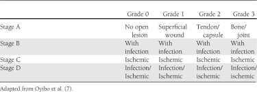 Image result for IDSA Diabetic Foot Wound Classification