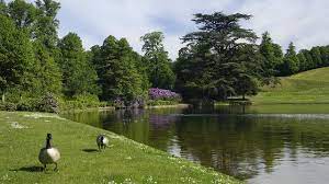 Holland landscape gardeners have been building award winning gardens since 1988, landscapers and builders based in colchester, essex. National Trust Claremont Landscape Garden Garten Visitlondon Com
