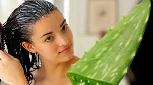 Mix lime juice and amla powder to make a paste. Ayurvedic Treatment For Hair Fall Growth Hair Loss Ahmedabad