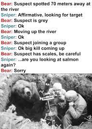 Russian Sniper Bear Oc Memes