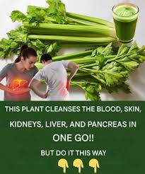 Celery recipe for cleansing blood and organs