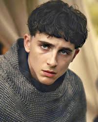 Pin On Timothee Chalamet Dono Do Meu Coracao