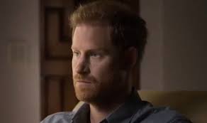 Prince Harry 'confident and authoritative' in new clip