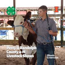Congratulations to all of the winners and everyone who participated in the  Perry-Randolph County 4-H 2024 Livestock show! Check out phots from the  event at the link below:  [https://uofi.box.com/v/2024LivestockShows](https://uofi.box.com/v ...