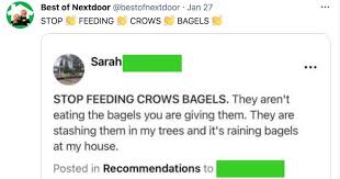 What one will find at first look is that people really trust the postings of others. Hilarious And Aggressively Petty Posts From Neighbors On Nextdoor Fail Blog Funny Fails