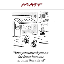 Matthew pritchett mbe (born 14 july 1964) is a british pocket cartoonist who has worked on the daily telegraph newspaper under the pen name matt since 1988. Matt Cartoons On Twitter Let It Bee Telegraph Click On The Link In Bio To Subscribe To My Weekly Newsletter Lol Cartoons Cartoon Sketch Drawingoftheday Comics Https T Co Kroblrrmem