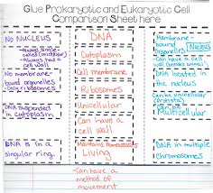 Eukaryotes are organisms whose cells possess a nucleus enclosed within a cell membrane. Cell Biology Prokaryotes And Eukaryotes Worksheet Answers Nidecmege