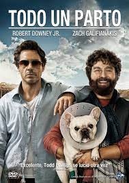Pelicula 5 De Robert Downey Jr Audio Latino Mf Comedy Movies Funny Movies Robert Downey Jr