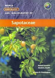 Image result for Sapotaceae