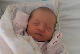 Fotogalerie: Miminka Jihočeský kraj 8. týden roku 2023