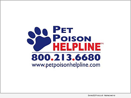Последние твиты от pet poison helpline (@petpoisonhelp). Pet Poison Control Center Has 100 Increase In Calls Related To Household Cleaning Concerns Send2press Newswire