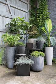 Pot Display Plants Garden Pots Container Gardening