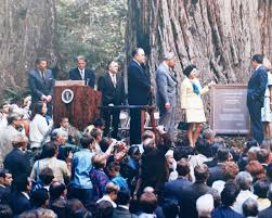 The lady bird johnson grove loop path winds through a fine collection of old growth redwoods, situated in a flat area near the end of a ridge at the grove is named after the wife of the 36th president, who was one of the dignitaries gathered here for the ceremony marking the creation of the. Lady Bird Johnson Grove