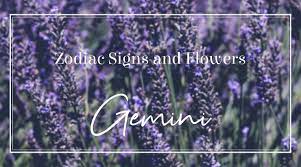 Zodiac Signs And Flowers Gemini
