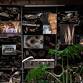 Step inside Vanishing Bangkok and witness concrete event image