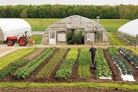 Crop rotation is the practice of changing what you plant where from one year to the next, based on plant groups. When Lean Business Principles Visit The Vegetable Farm Https Www Triplepundit Com 2017 11 When Lean Bus Farm Layout Vegetable Garden Design Vegetable Farming