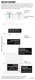 But then wmf created 40 new stories that. Million Year Old Mammoth Genomes Shatter Record For Oldest Ancient Dna