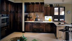If you want to replace it, you can't do it. Thomasville Reviews Honest Reviews Of Thomaville Cabinetry Cabinets Kitchen Cabinet Reviews