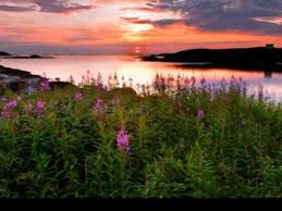 In another charm, the evening star mariya and morning star maremiyana are invoked to take away sleeplessness. Lyube Paroles De A Zarya A Zarya Fr