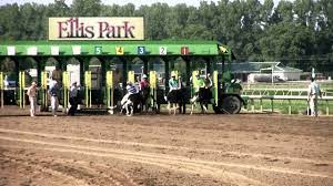 The energy at ellis park is electric! Ellis Park Camel Ostrich Races Youtube