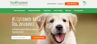 We did not find results for: Healthy Paws Pet Insurance Helps Pet Lovers Reduce The Financial Cost Of Care