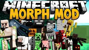 How to get the flash mod in minecraft. Morphing Mod 1 12 2 1 7 10 Morph Into Any Mob Ever 9minecraft Net