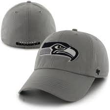 Maybe you would like to learn more about one of these? 47 Brand Seattle Seahawks New Franchise Fitted Basic Logo Hat Gray Seattle Seahawks Clothing Seahawks Merchandise Hats For Men
