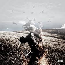 Birds In The Trap Sing Mcknight Album Cover 1000x1000 Travis Scott Drops New Album Days Before Birds Nah Right Travis Scott Migos Rap Artists