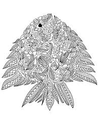 Ocean oyster coloring pages for adults. Fish Adults Coloring Page 1001coloring Com